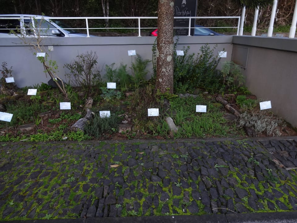 Kräutergarten PortoBay Serra Golf