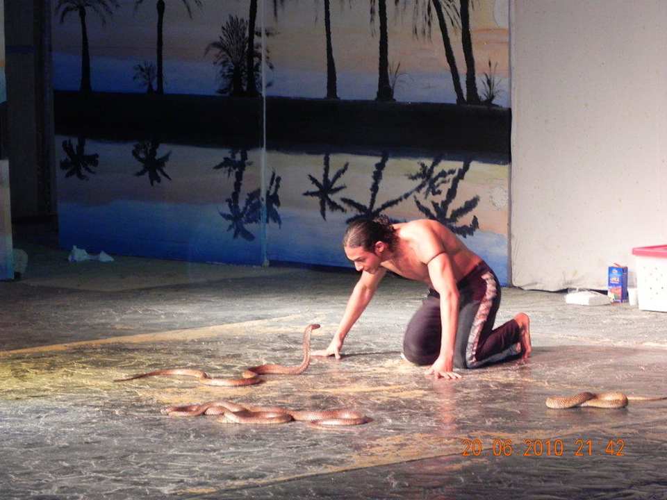 Kobra - Show Pickalbatros Alf Leila Wa Leila Resort - Neverland Hurghada