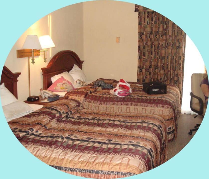 Zimmer des Comfort Suites Clearwater Comfort Suites Clearwater - Dunedin