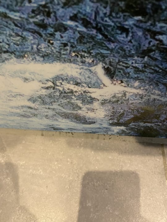 Zimmer Center Parcs Park Allgäu