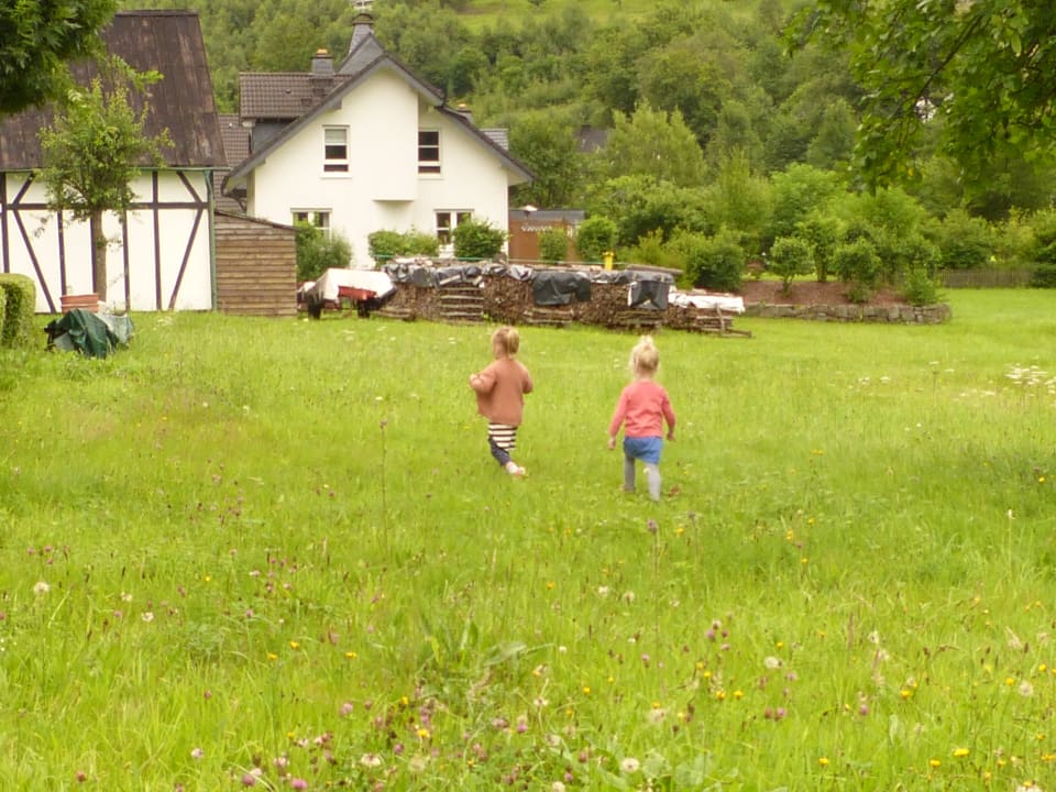 Ausblick Ferienwohnung rundumgruen