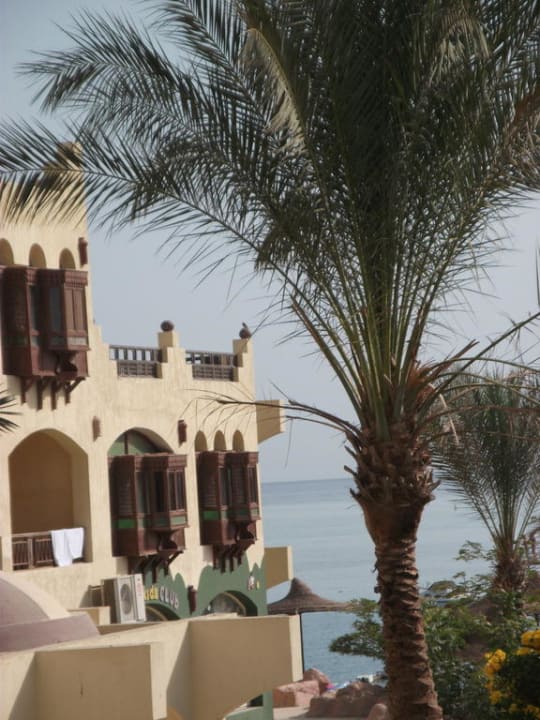 Widok z pokoju Sunny Days Palma De Mirette Resort & Spa