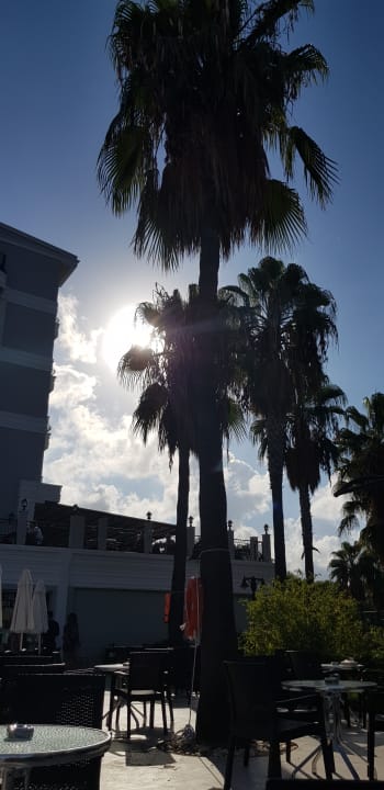 Gartenanlage Royal Atlantis Beach Hotel