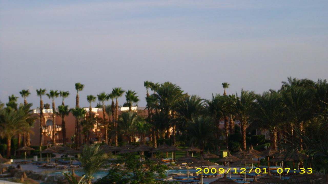 Nachbarhotel Pickalbatros Palace Resort