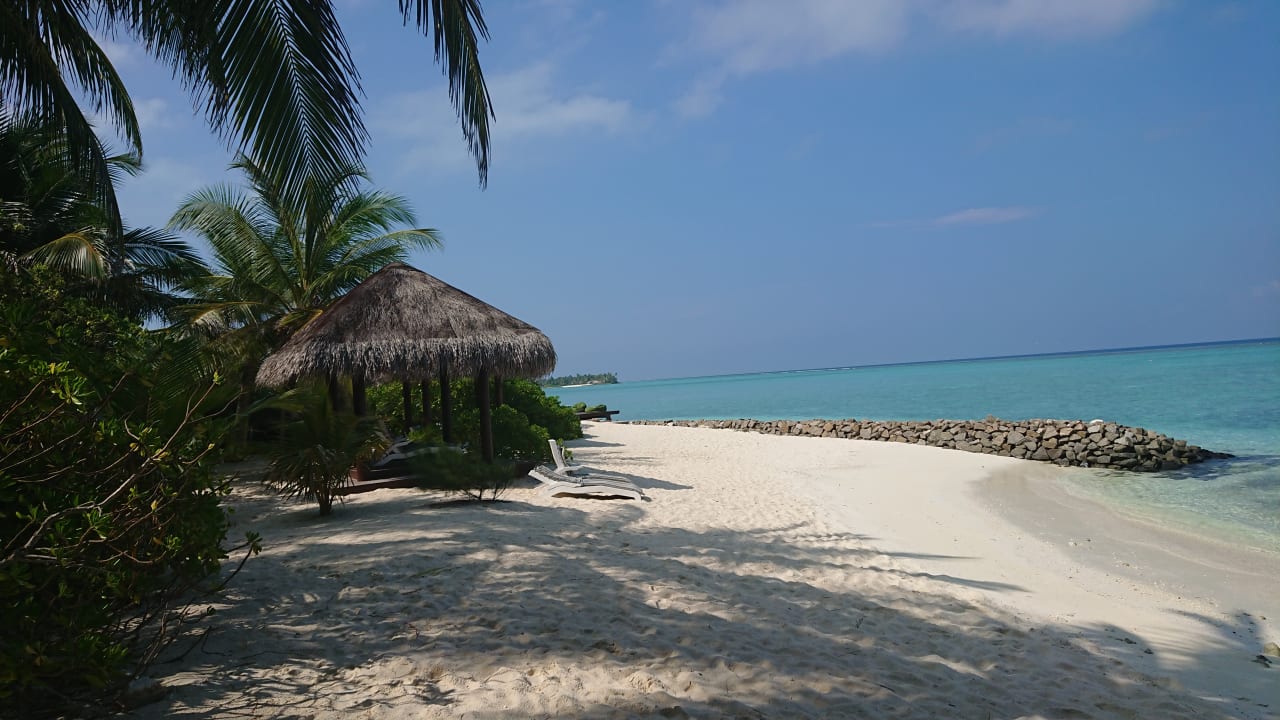 Strand Summer Island Maldives