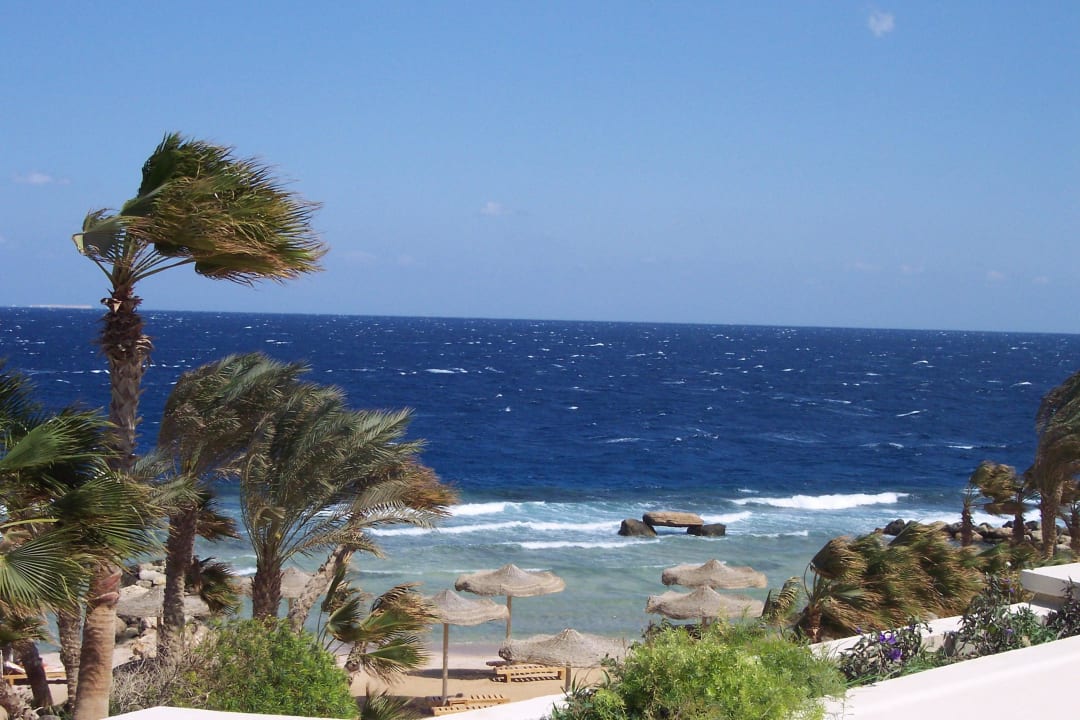 Citadel Azur Resort Pickalbatros Citadel Resort