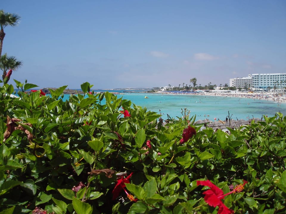 Vom Pool Ausblick zum Meer Hotel Nissi Beach Resort