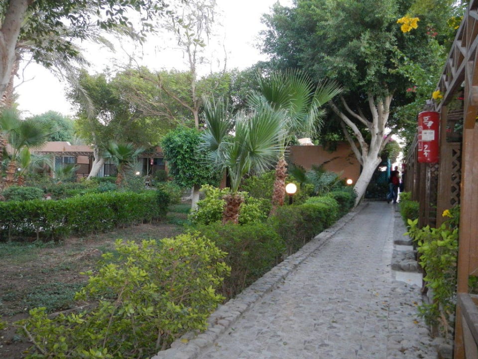 Ausgang J-Block Nr. 20 Giftun Azur Resort