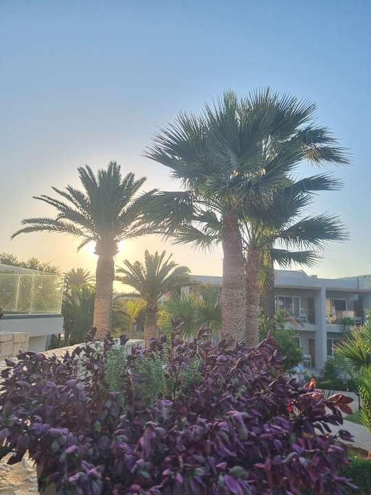 Gartenanlage Anissa Beach & Village