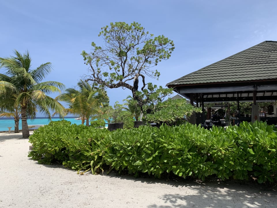 Gastro Adaaran Select Meedhupparu Island Resort - Premium All Inclusive
