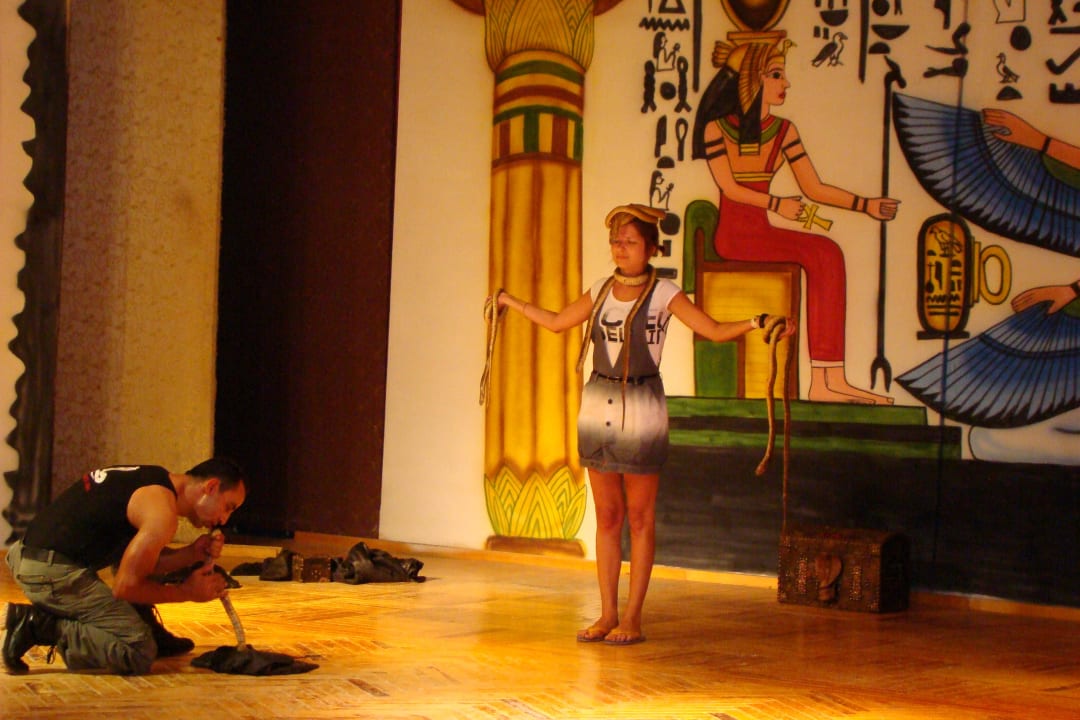 Kobra show Beach Albatros Resort