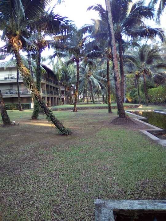 Gartenanlage The Grand Southsea Khaolak Beach Resort