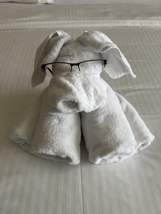 Zimmer Miramar Al Aqah Beach Resort