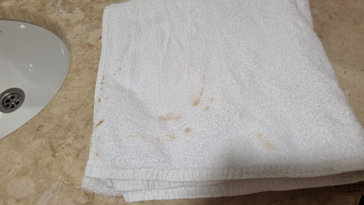 Zimmer Hotel Orfeus Park