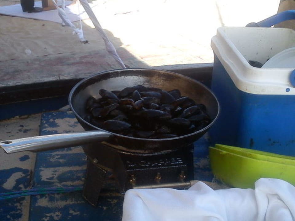 Muscheln am Strand  The Orangers Beach Resort and Bungalows