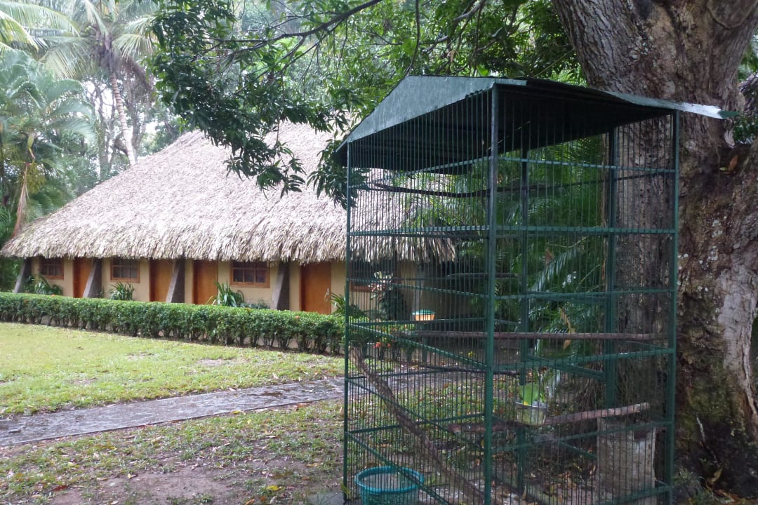 Unterwegs in Venezuela Hotel Orinoco Delta Lodge