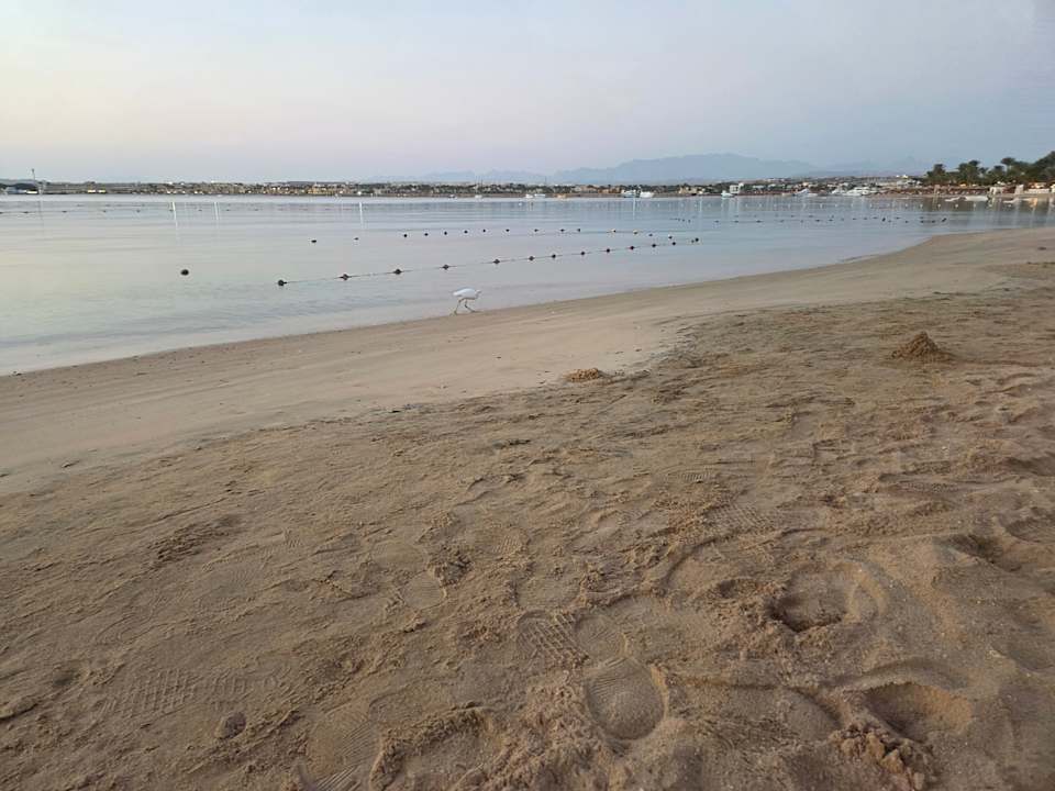 Strand Prima Life Makadi Resort