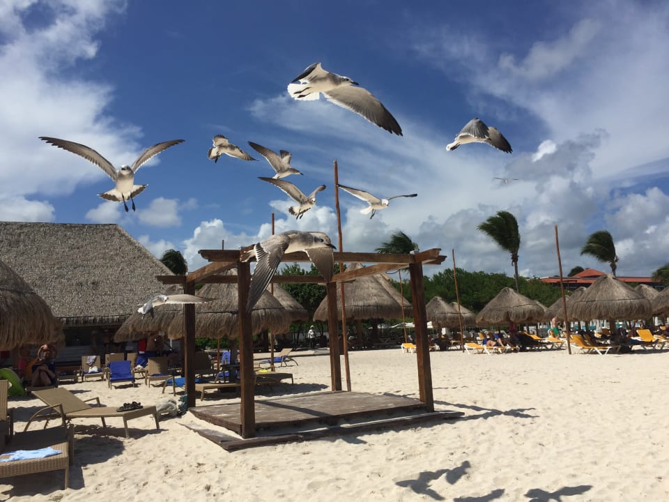 Strand Iberostar Selection Paraiso Maya Suites