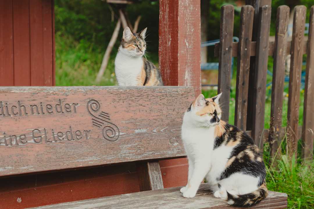 Gartenanlage Hotel Tannenmühle