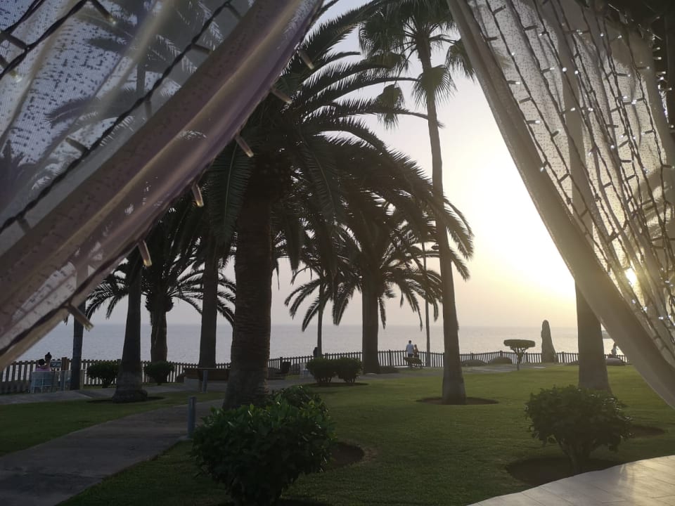 Gartenanlage Princess Taurito