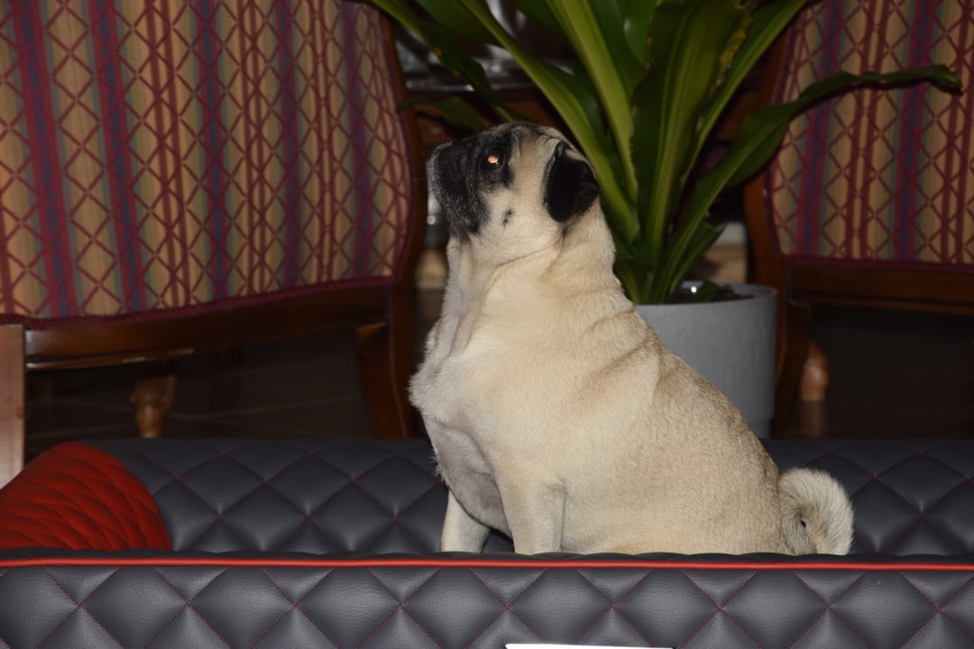 Sonstiges Guesthouse Dalnig