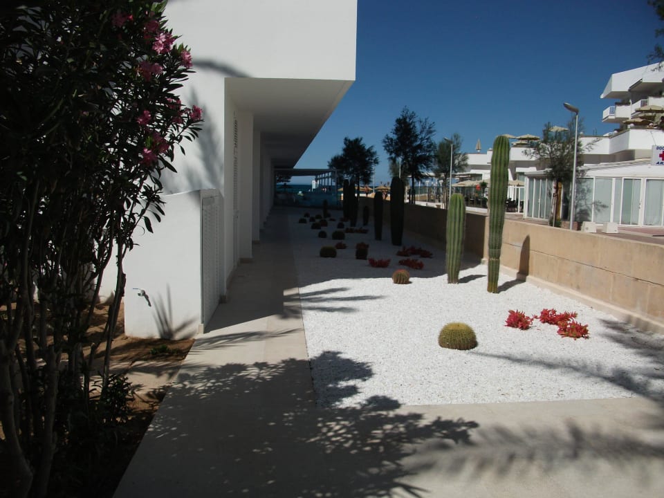 Schöne Aussenanlage The Sea Hotel by Grupotel - Adults only