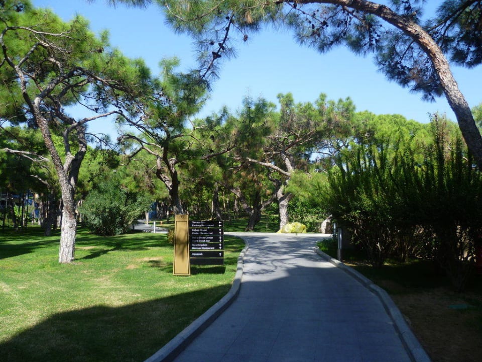 Joggen Rixos Sungate