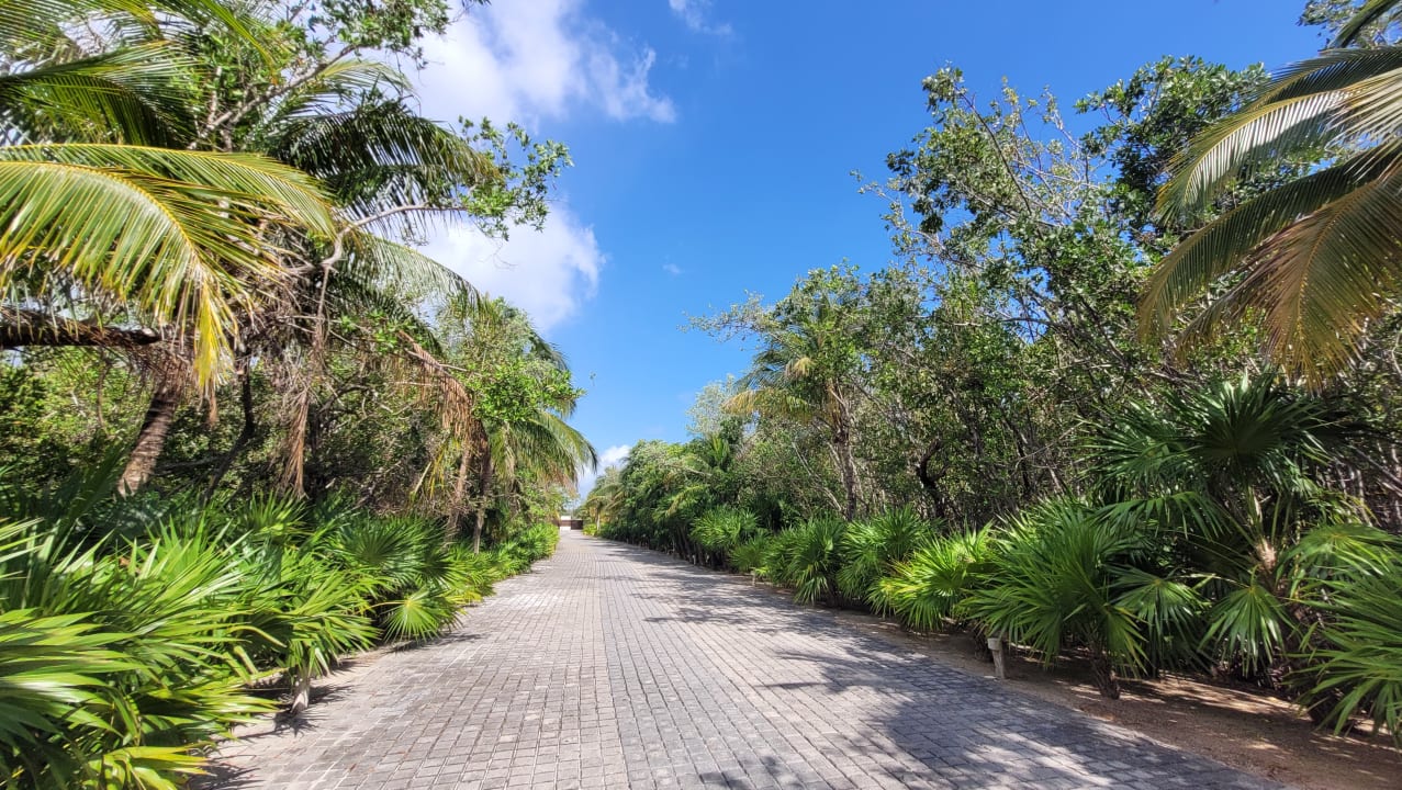 Gartenanlage Akumal Bay Beach & Wellness Resort