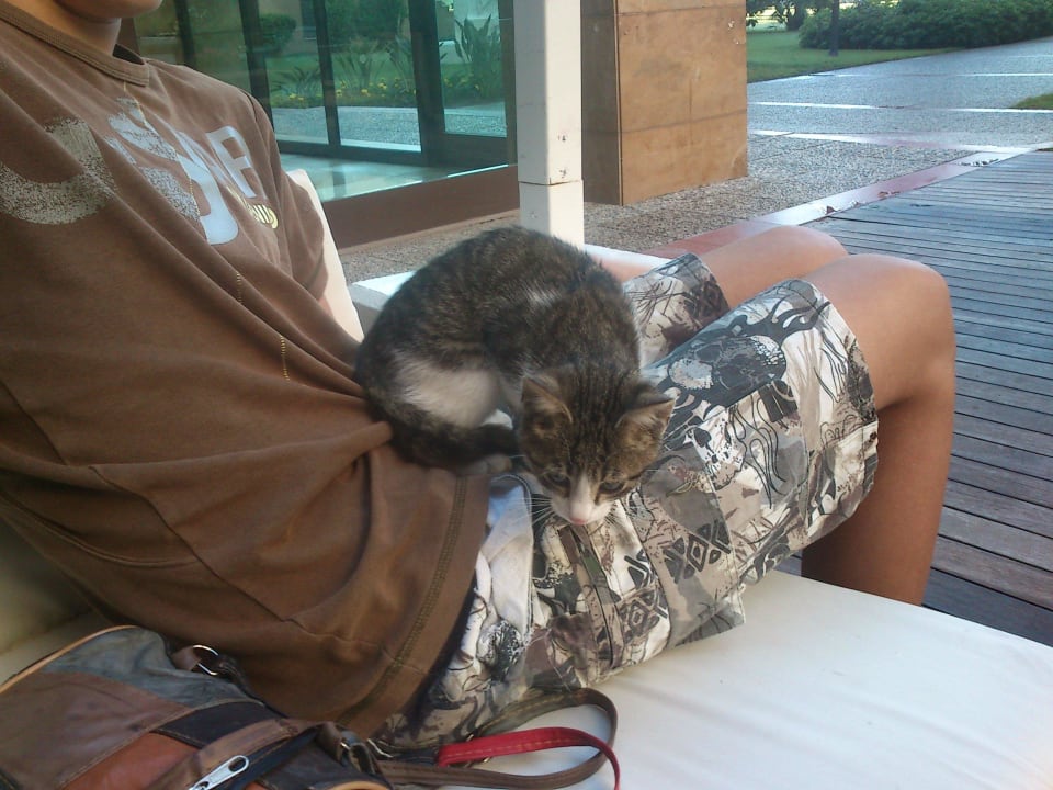 Haustier Voyage Belek Golf & Spa