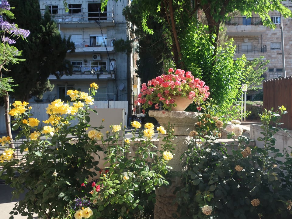 Garten Hotel Beit Ben Yehuda
