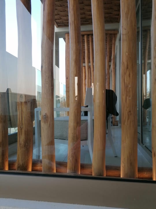 Zimmer Mitsis Selection Rinela