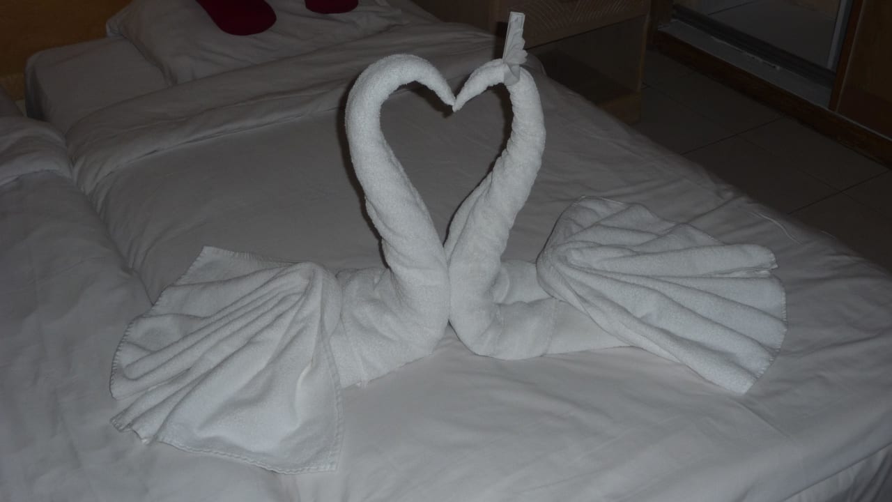 Deko vom Roomboy Ghazala Gardens