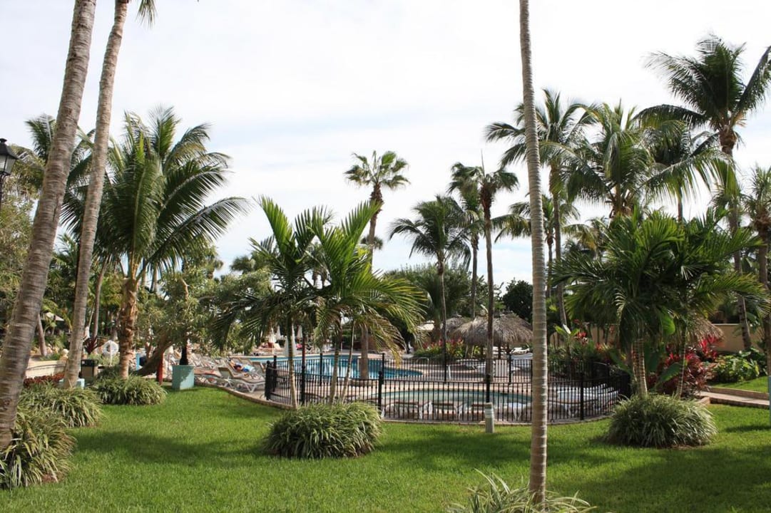 Poolanlage aus Richtung Hotelhinterausgang Hotel Riu Plaza Miami Beach