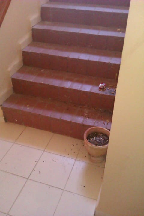 Treppenaufgang nach 3 Tagen Hotel African Queen