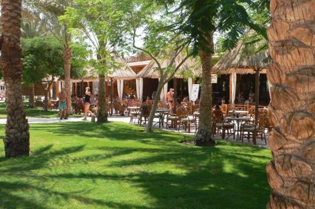 Restaurant Oasis Siva Grand Beach