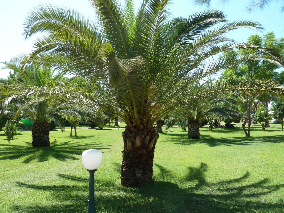 Anlage Güral Premier Belek