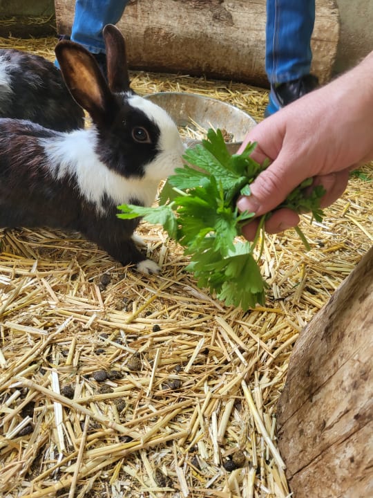 Außenansicht Abelhof
