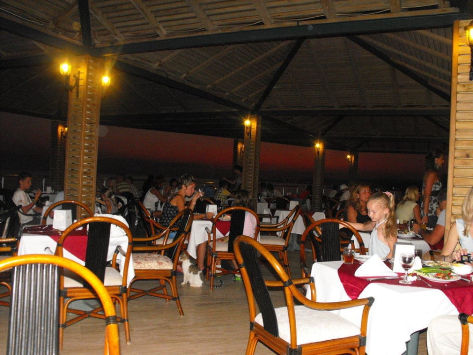 Restaurant Aska Hotel Just in Beach
