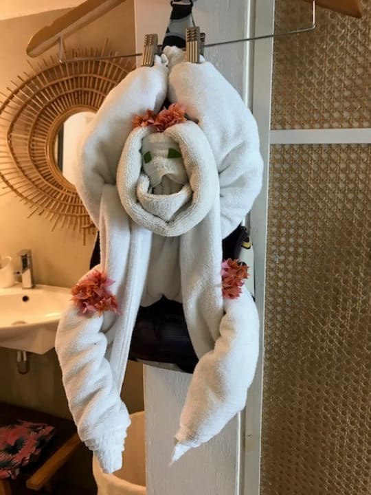 Zimmer Tropical Attitude - Adults only