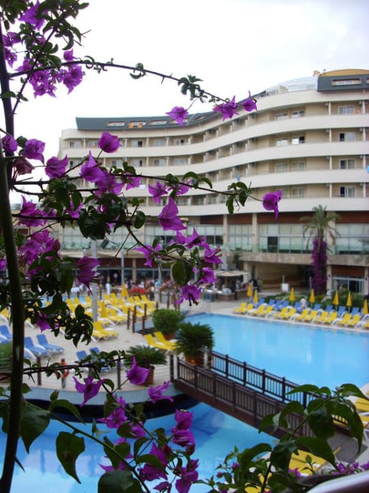 Blick auf  Pool und Haupthaus Alaiye Resort & Spa