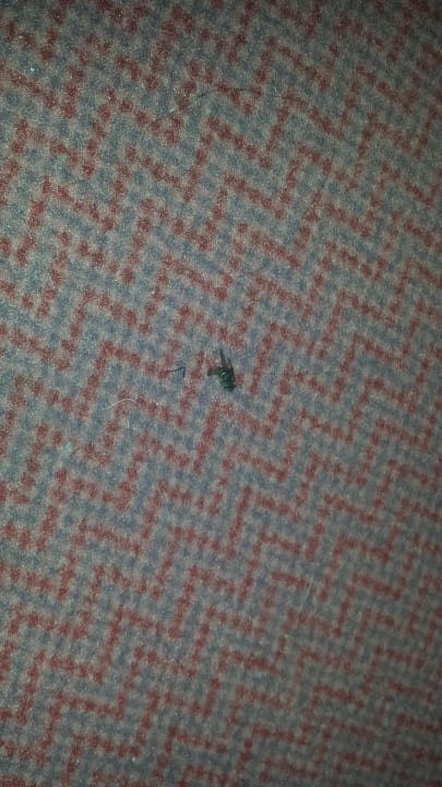 Super gesaugt Hotel Gasthof zur Eyachbrücke