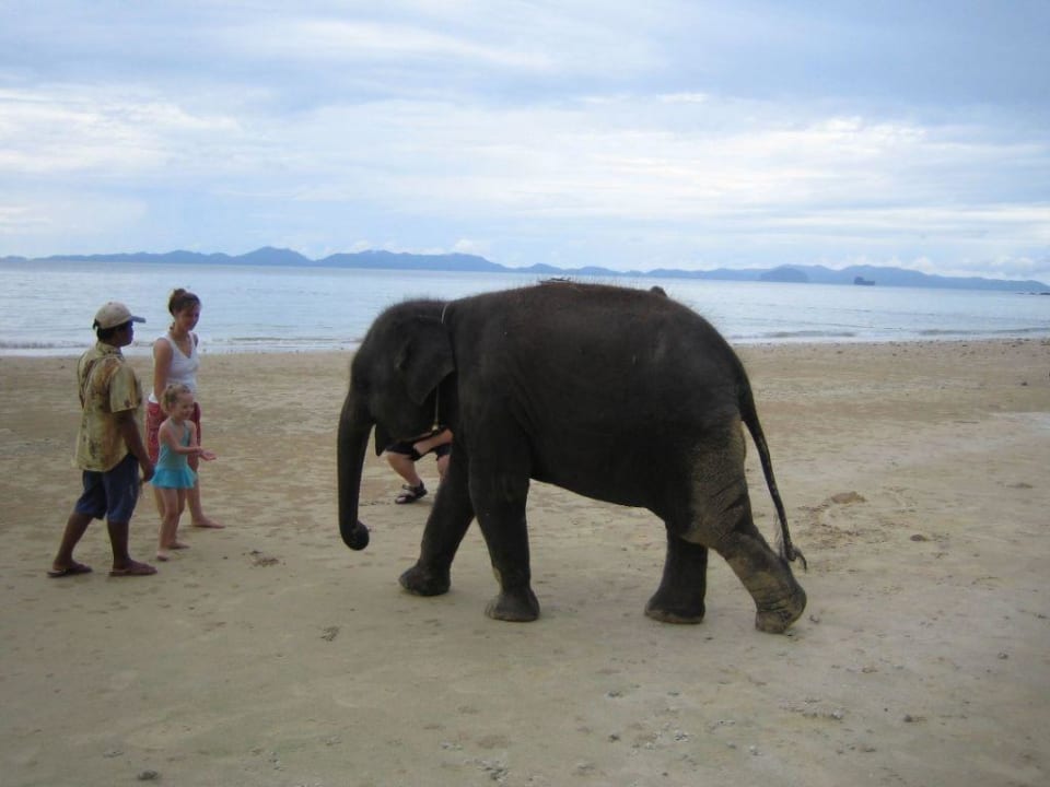 Der Führer mit dem Baby Dusit Thani Krabi Beach Resort