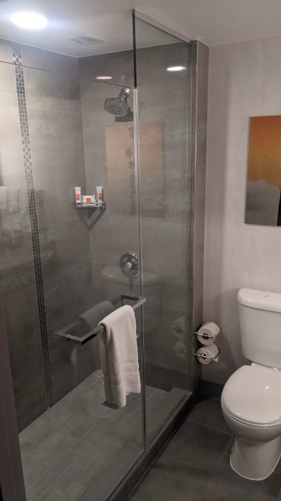 Zimmer Loews Hollywood Hotel