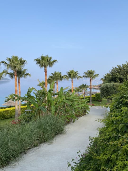 Gartenanlage TUI MAGIC LIFE Bodrum - Adult Only (16+)