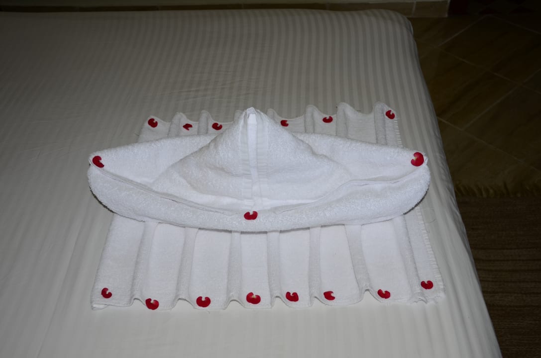 Zimmer Malikia Resort Abu Dabbab