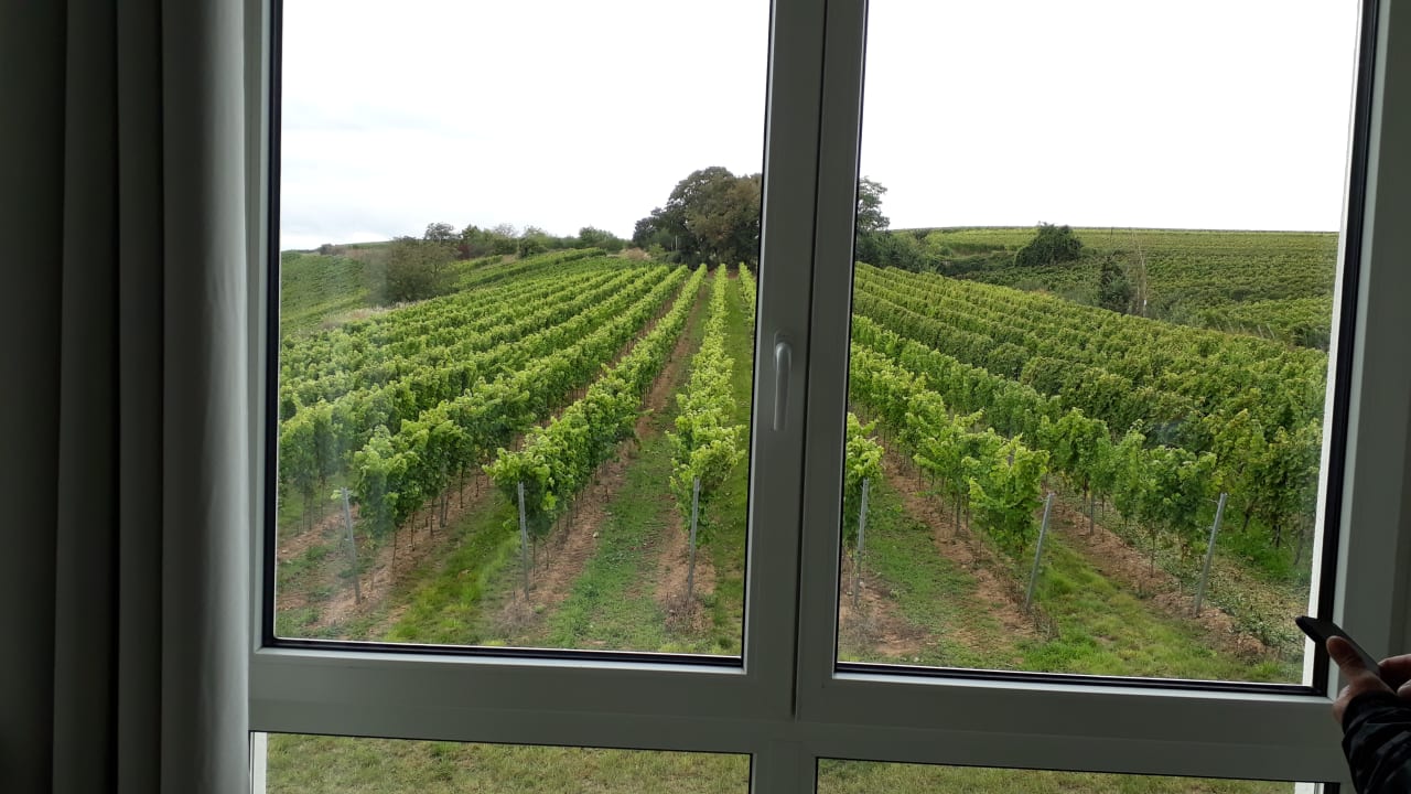 Ausblick Winzerhotel Trautwein
