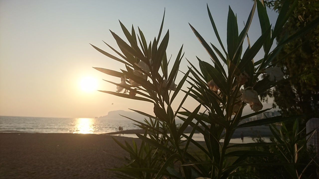 Strand Labranda Alantur Resort