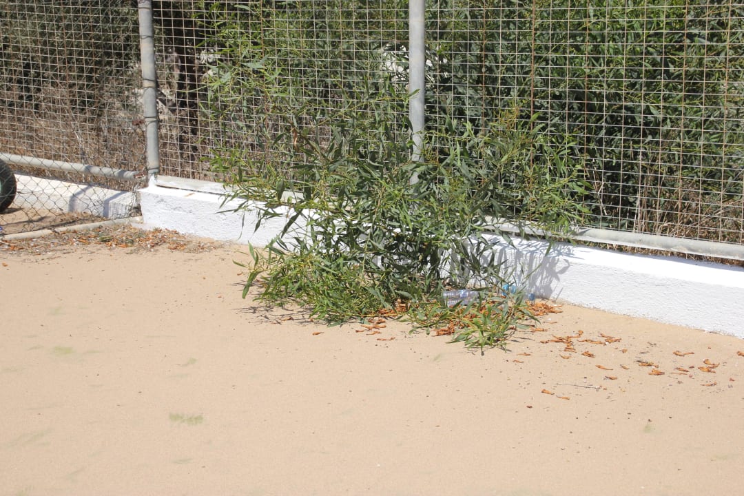 Tennisplatz Atlantica Aeneas Resort