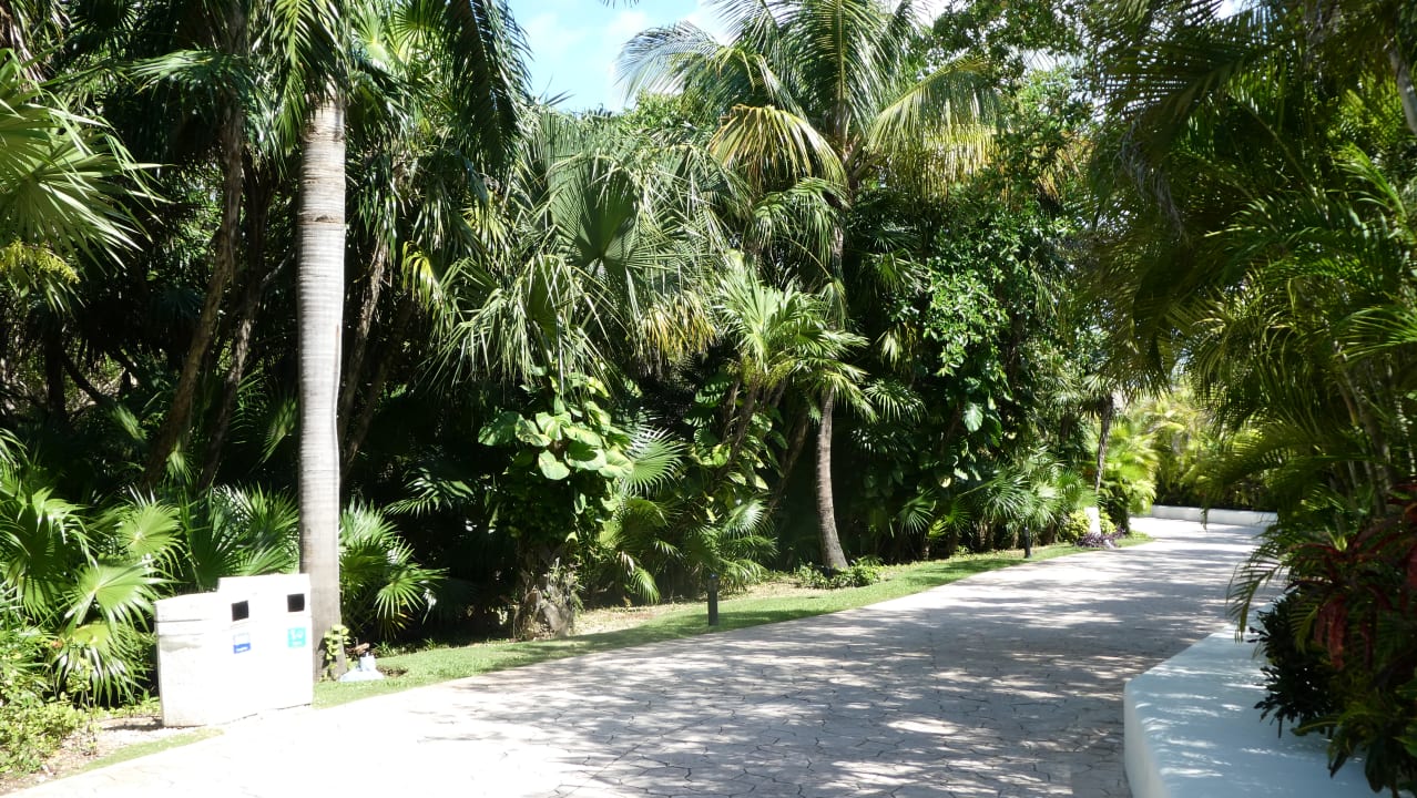 Gartenanlage BlueBay Grand Esmeralda