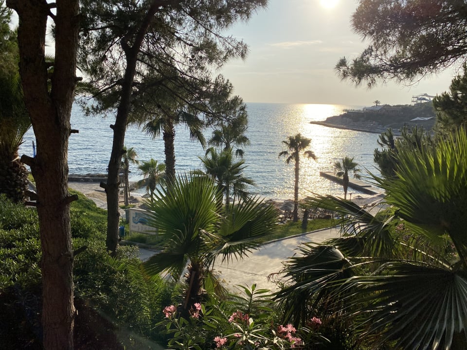 Gartenanlage Hotel Pine Bay Holiday Resort